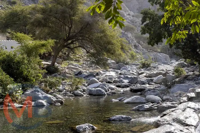 Ain Al Thawarah: a natural hot spring oasis in Nakhal (Wilayat) known for its warm, soothing waters and peaceful surroundings